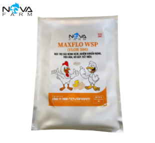 MAXFLO WSP