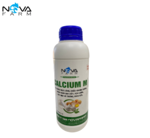 CALCIUM M