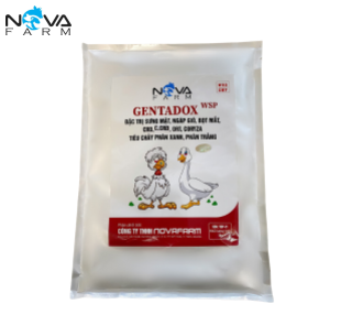 GENTADOX WSP