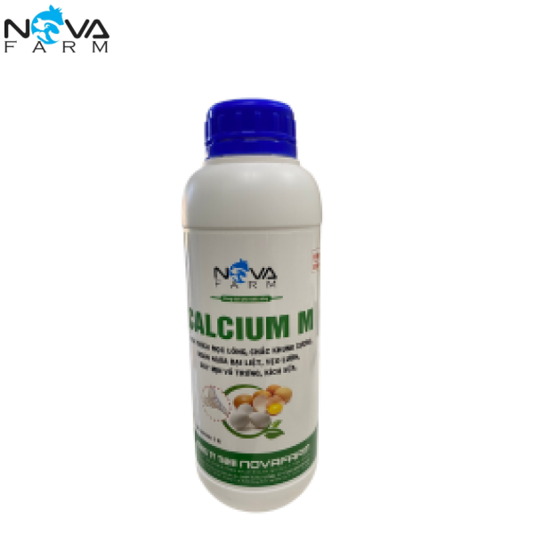 CALCIUM M